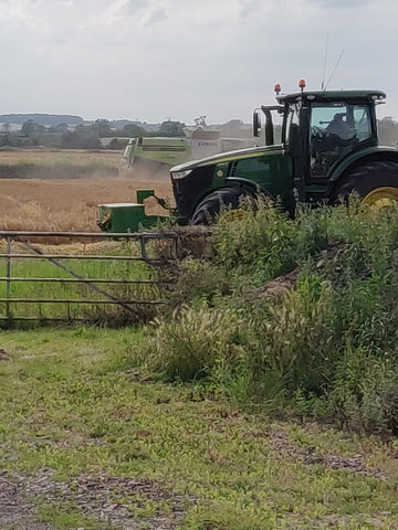 Harvest 2019