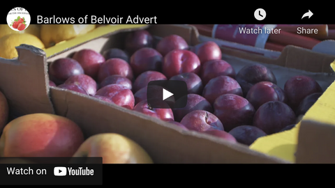 Barlows Video Advert!