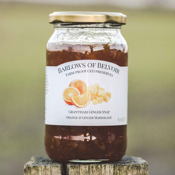 Grantham Ginger Snap | Orange & Ginger Marmalade