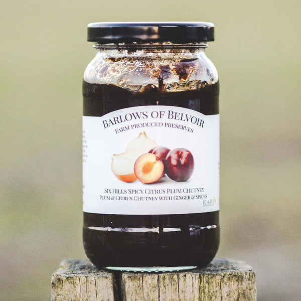 Six Hills Spicy Citrus | Plum & Citrus Chutney with Ginger & Spices